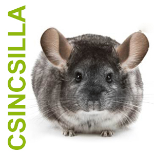 csincsilla kisállateledel bolt - állateledel webáruház
