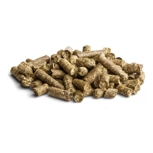 bunnyNature EnjoyNature Allgäu FreshGreen jutalomfalat 200 g