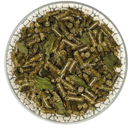 bunnyNature GuineaPigDream YOUNG 600g