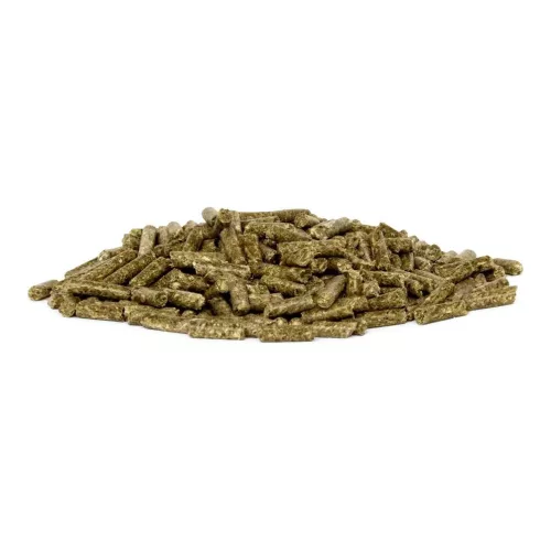 bunnyNature goVet Energy Dental fogegészség-támogató nyúltáp 1,2 kg