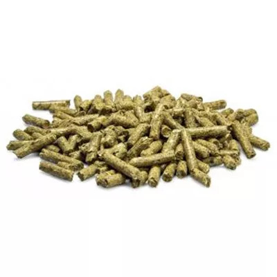 bunnyNature goVet BRONCHOplex 325g