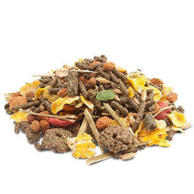 Versele-Laga Crispy Guinea Pigs - Tengerimalac eledel 1kg