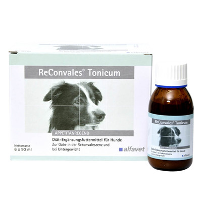 ReConvales® Tonicum 6X90ml