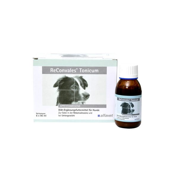 ReConvales® Tonicum 6X90ml