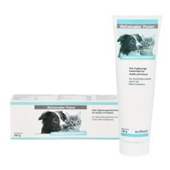 ReConvales® Power 140g 