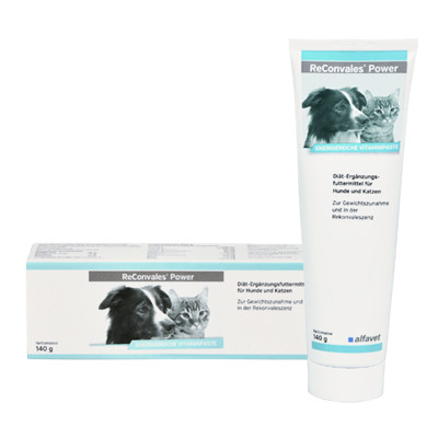 ReConvales® Power 140g 