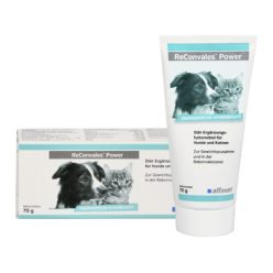 ReConvales® Power 70g 