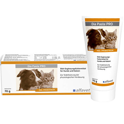 Dia Paste PRO 70g 