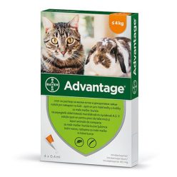Advantage 40 nyúl/macska spot on 4kg alatt 4x