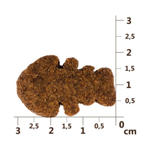 CarniLove Dog Crunchy Snack lazaccal és áfonyával 200g