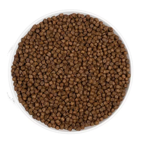 ERA Grain Free  Kitten Fresh Chicken & Turkey 3 kg
