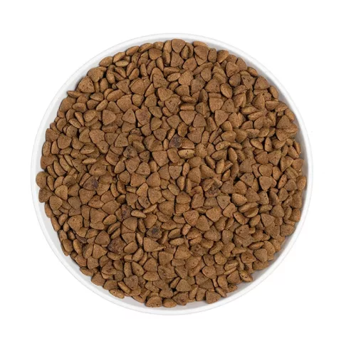 ERA Grain Free Adult Fresh Salmon & Duck 1,25kg