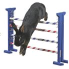 Kerbl agility ugró akadály kombó - Kifutó