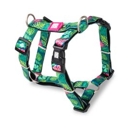 Max & Molly hám H M Tropical 53-69cm / 20mm