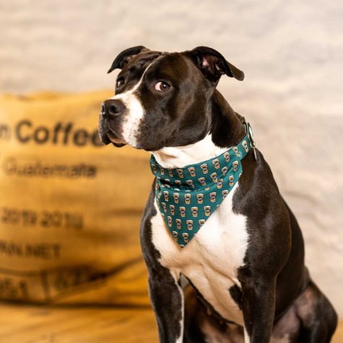 Max & Molly kendő S coffee break 15 x 12,5 cm