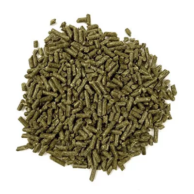 Oxbow Essentials Adult Guinea Pig 4,5kg