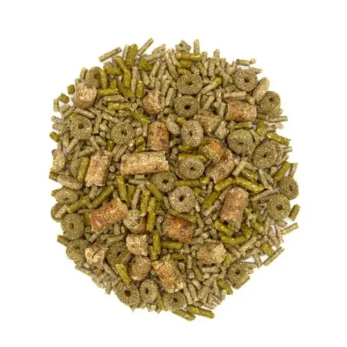 Oxbow Forage Wise Adult Guinea Pig 1,81 kg