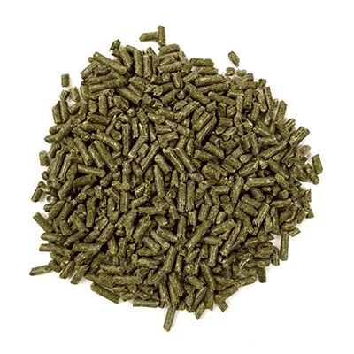 Oxbow Essentials felnőtt csincsilla táp 1,36 kg