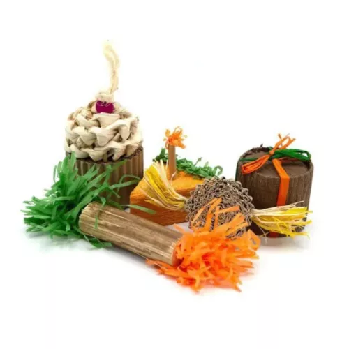 Oxbow Enriched Life Birthday Party Pack születésnapi csomag 5 db
