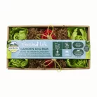 Oxbow ásódoboz Enriched Life Garden Dig Box rattan 29,8 × 15,9 × 6,4 cm