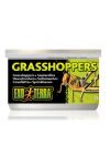 Exo-Terra Grasshopper - Szöcske konzerv 34g