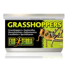 Exo-Terra Grasshopper - Szöcske konzerv 34g