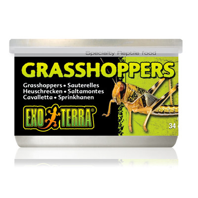 Exo-Terra Grasshopper - Szöcske konzerv 34g
