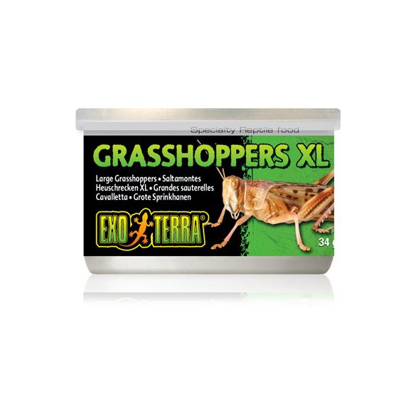 Exo-Terra Grasshopper - Szöcske konzerv XL 34g