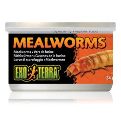 Exo-Terra Mealworms - Lisztkukac konzerv 34g