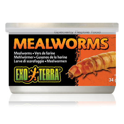 Exo-Terra Mealworms - Lisztkukac konzerv 34g