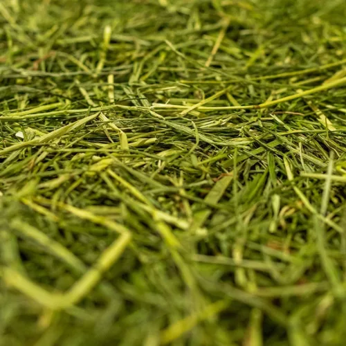 Samerberger réti széna 4kg