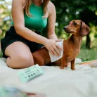 Tickless® Természetes kullancs, bolha és szúnyogriasztó nedves törlőkendő 20db