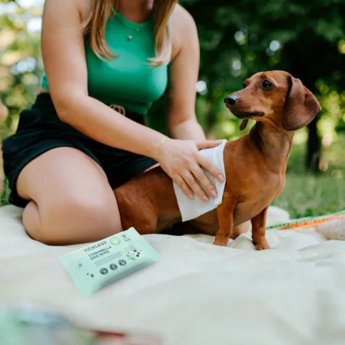Tickless® Természetes kullancs, bolha és szúnyogriasztó nedves törlőkendő 20db