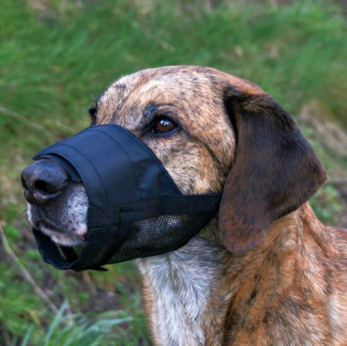 Trixie Szájkosár Nylon és Hálós M