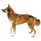 Trixie Tüzelőbugyi Fekete S-M 32-39cm