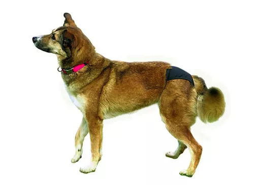 Trixie Tüzelőbugyi Fekete M 40-49cm