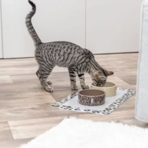 Trixie Kerámia Tál 0,3l / 12cm Világosbarna