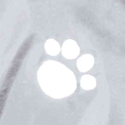 Trixie esőkabát Tarbes 34cm