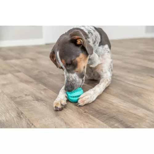 Trixie Dentafun Baseball Labda Mentás 7cm