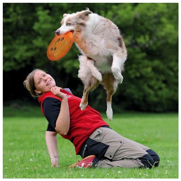 Trixie Activity Disc 23cm