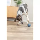 Trixie Snack Labda 7cm