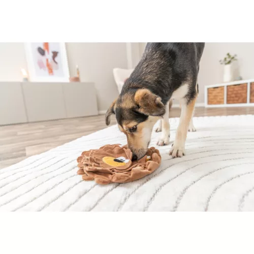 Trixie Lion Szimatszőnyeg 26cm