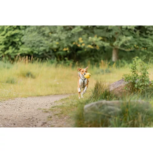 Trixie Plüss labda be Eco 10cm