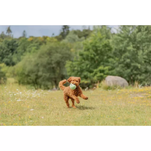 Trixie Plüss labda be Eco 10cm