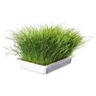 Trixie puha macskafű 100g