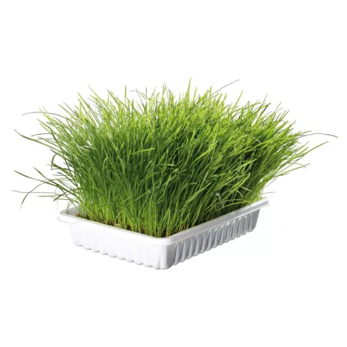 Trixie puha macskafű 100g