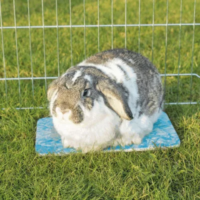 Trixie Hűsítő Lap Kisállatoknak 35x25cm