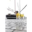 Trixie esőkabát Vimy 40cm