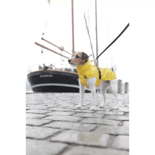 Trixie esőkabát Vimy 40cm