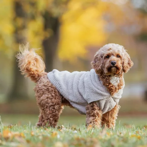 Trixie pulóver Carson 27cm - Homok